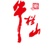 海普智联科技